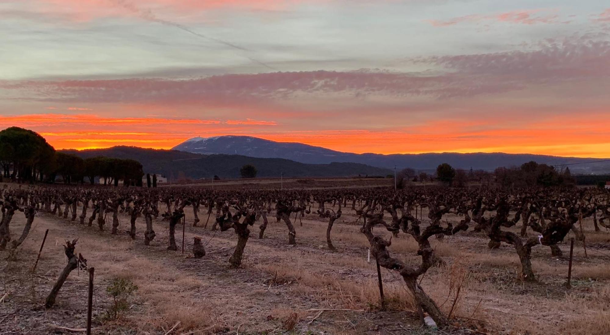 Le Mas Nathael Vaison-la-Romaine Exteriér fotografie
